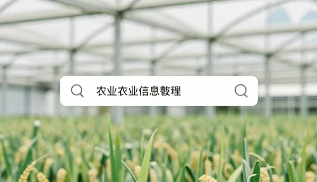 企业信息管理中的查询与分析环节应用